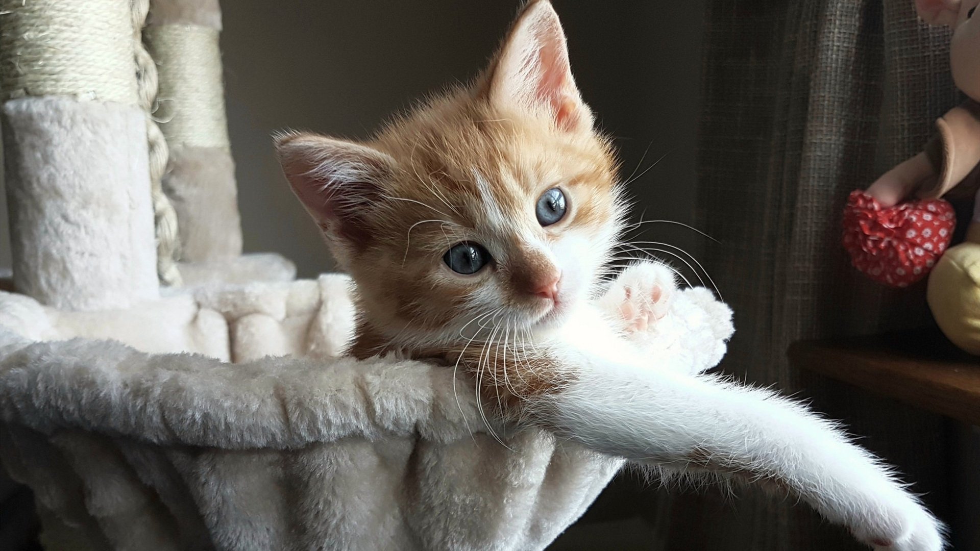 逆袭的礼赞，索伯的战术盛宴与维斯塔潘的王者独舞