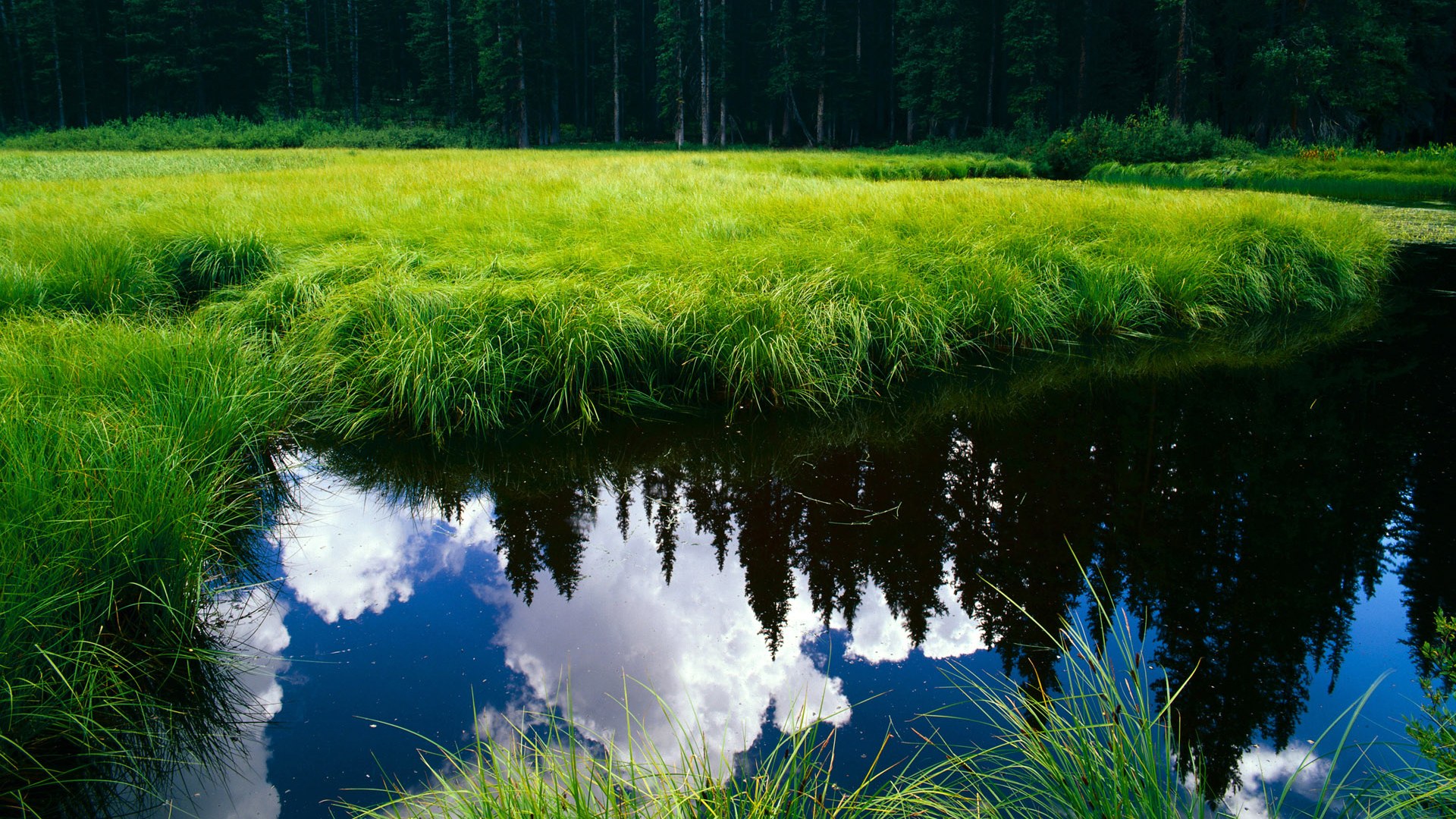 重剑无锋与唯快不破,范戴克的叹息之墙与马里的致命寒光