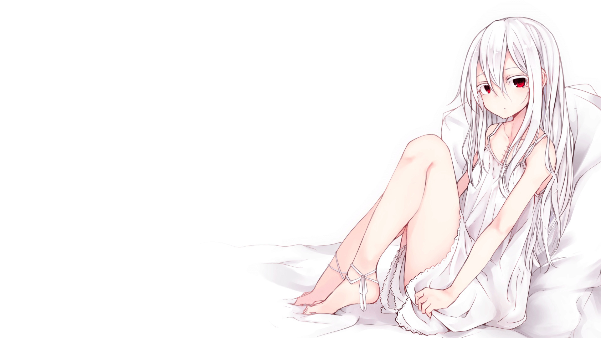 绿与红的交响,当波士顿凯尔特人遇见辽宁飞豹