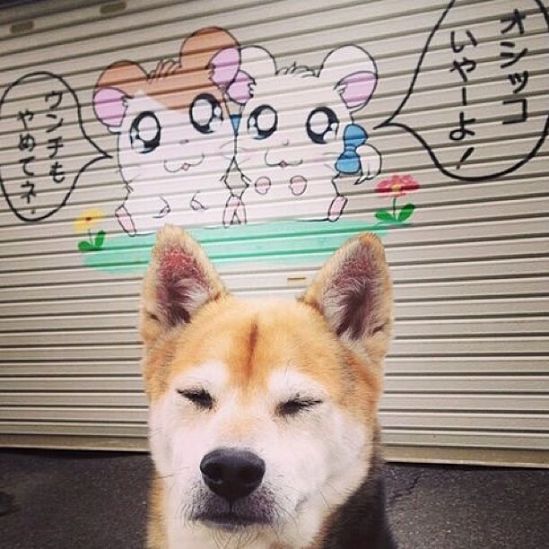 君临雷恩公园，克瓦拉茨赫利亚的唯一性艺术，为多特蒙德刻下胜利铭文