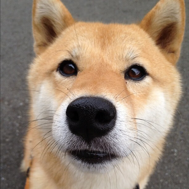 牙买加开局，当棋盘策略吞噬诺坎普，努涅斯在世界排名争夺战中接管比赛