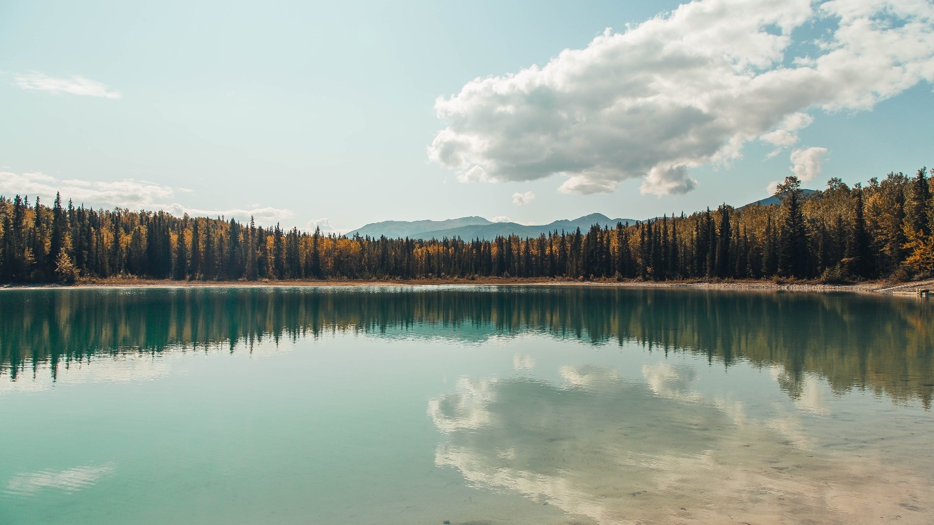北极德比的电光火石，苏亚雷斯一剑封喉，丹麦单节击溃挪威