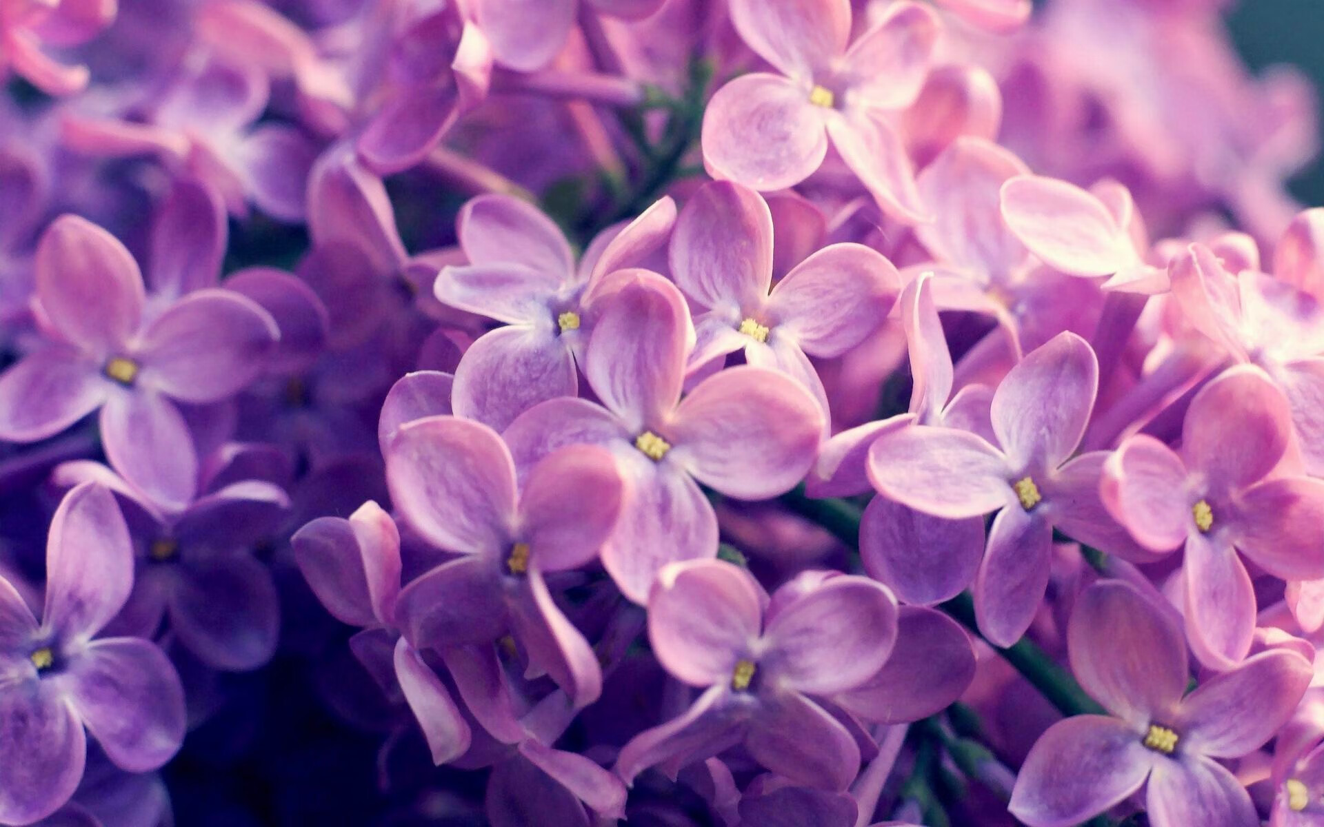 一道撕裂黑夜的防守者弧线 当欧冠淘汰赛的星空下，戈贝尔的名字被重新定义
