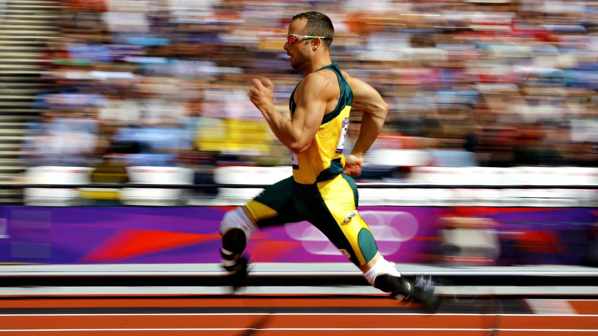 当足球与篮球在意志维度共振，统治者的唯一密码