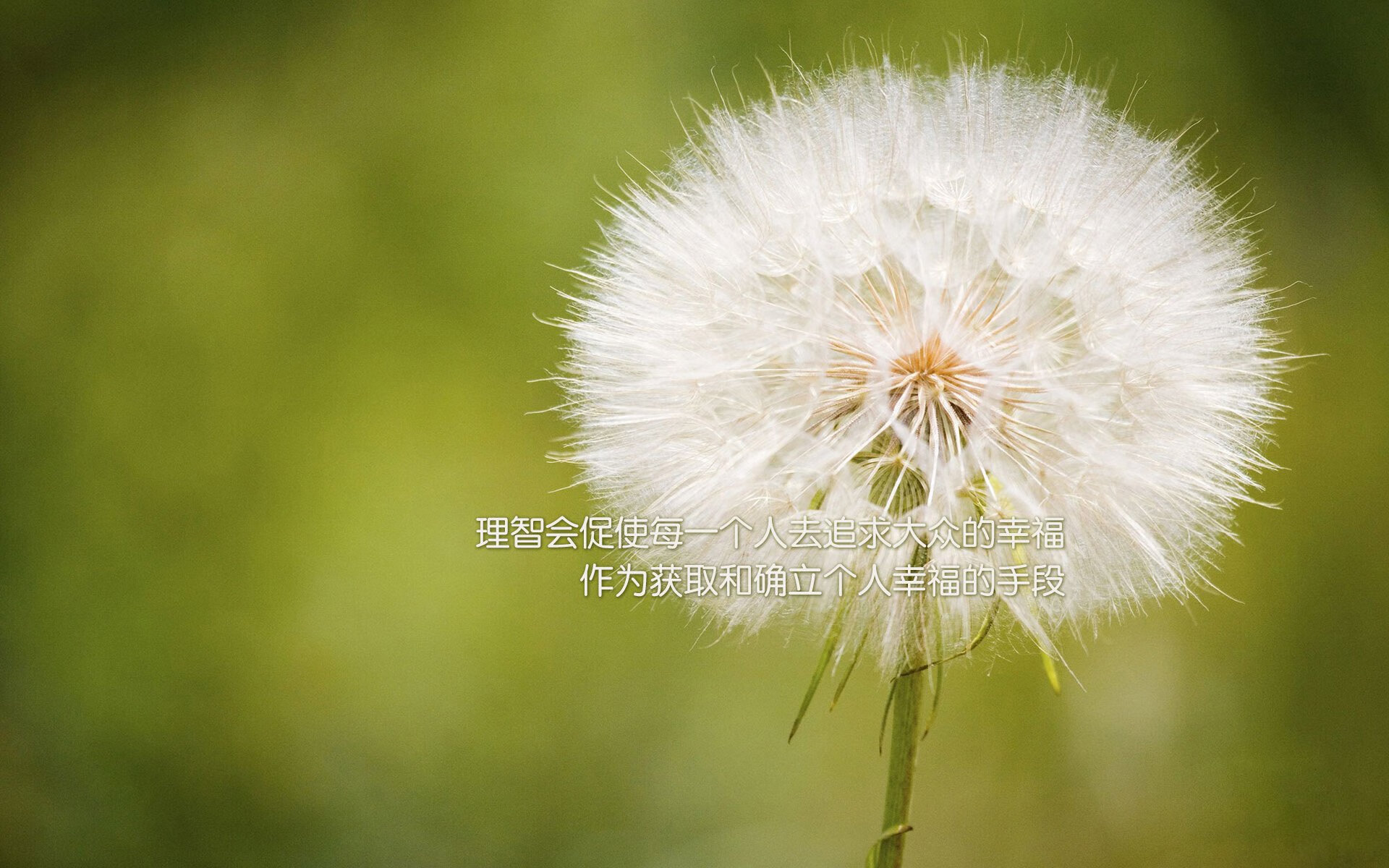 爱游戏体育-东方巨龙撞破篮球麦加—解析山西队历史性击溃尼克斯的唯一性，及杜兰特关键先生的封神之战