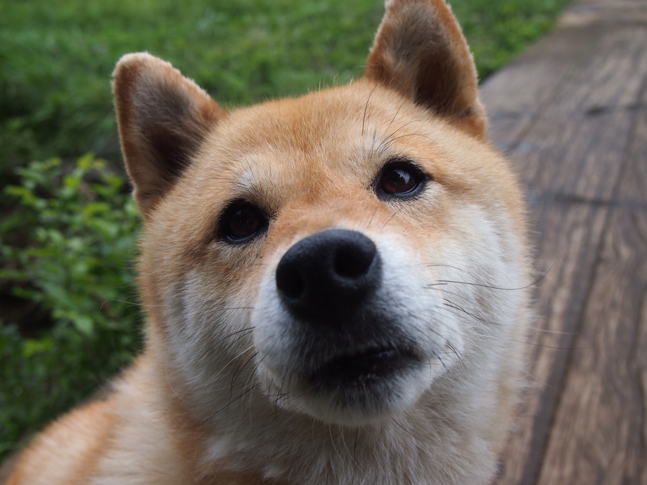 皇马出手！巴斯托尼爆发引关注，荷兰强势晋级成转会双重奏