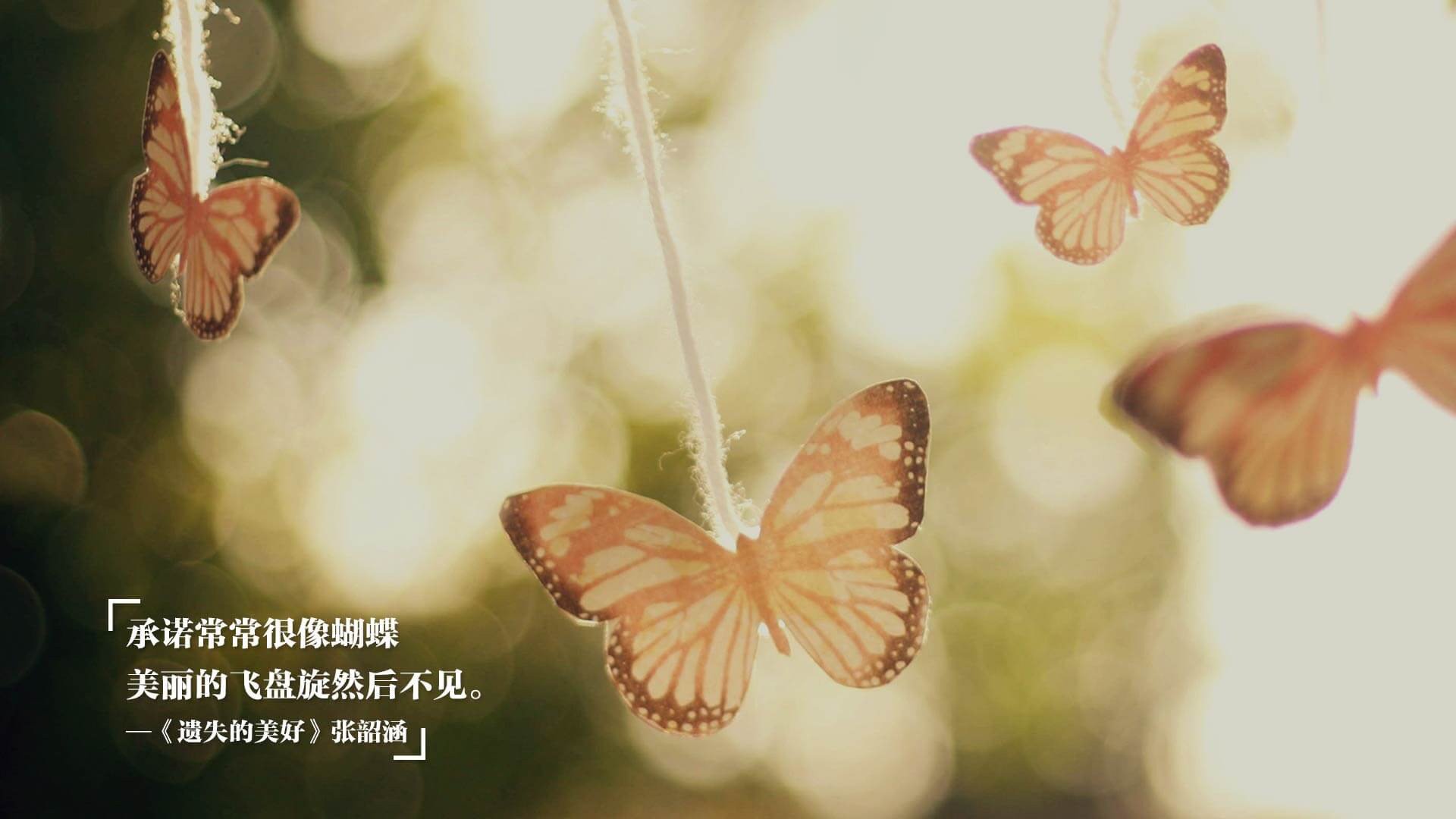这是一篇基于您提供关键词创作的深度文章，结合了体育评论的激情与叙事文学的画面感